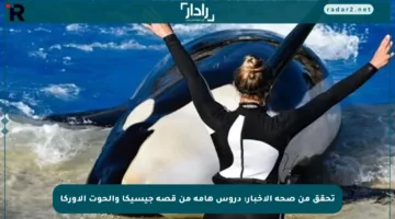تحقق من صحة الأخبار: دروس هامة من قصة جيسيكا والحوت الأوركا